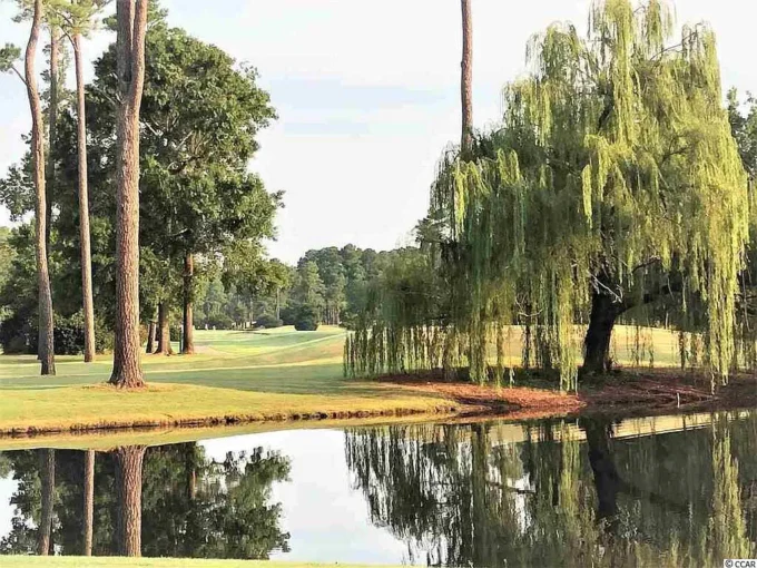 A pond with trees and water in the background